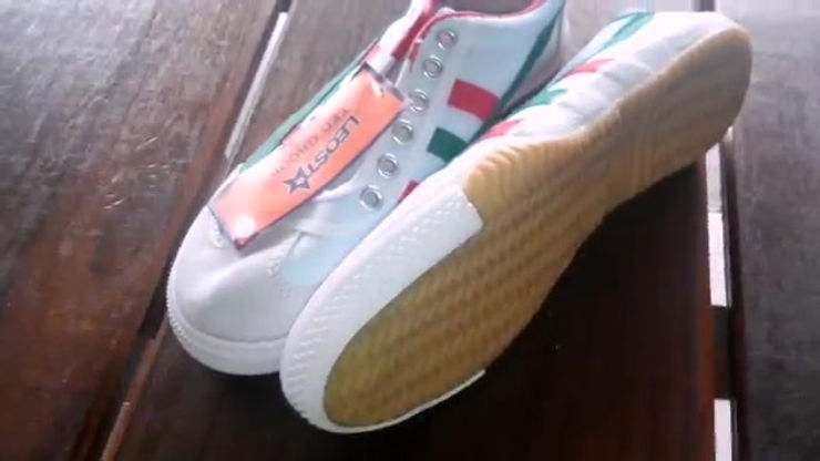 LEO's Shoe